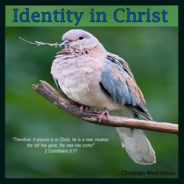 Identity-in-Christ1-1024x1024 (1)